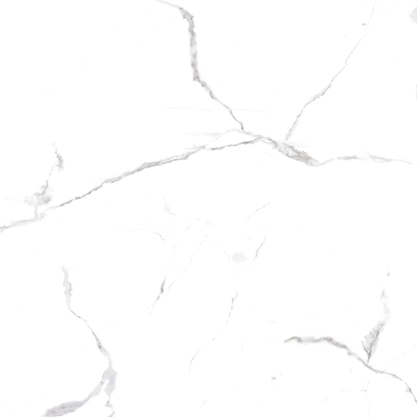 Mud White